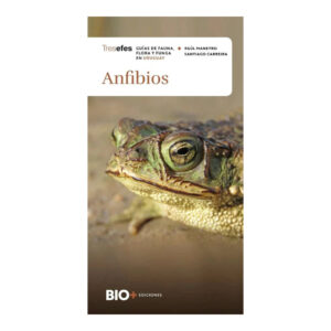 ANFIBIOS. Guía de fauna, flora y funga en Uruguay