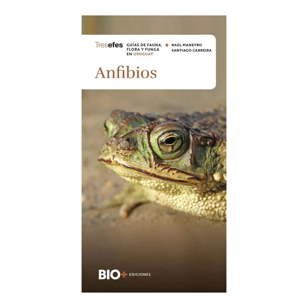 ANFIBIOS. Guía de fauna, flora y funga en Uruguay