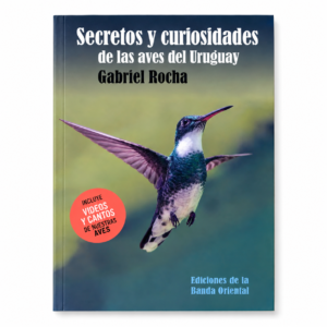 SECRETOS Y CURIOSIDADES DE LAS AVES EN URUGUAY.