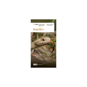 REPTILES